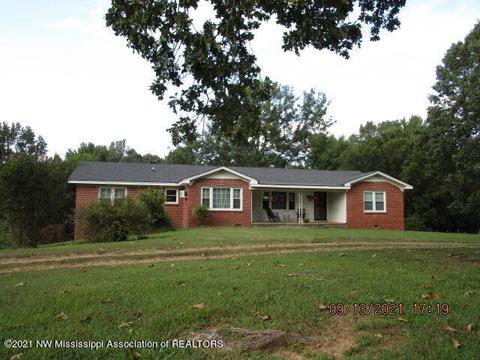 10133 Peyton Rd, Coldwater, MS 38618 photo 4