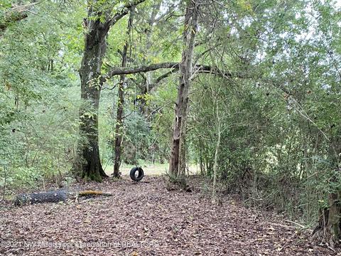 169 Moore Loop, Byhalia, MS 38611 photo 37