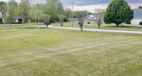 169 Moore Loop, Byhalia, MS 38611 photo 39