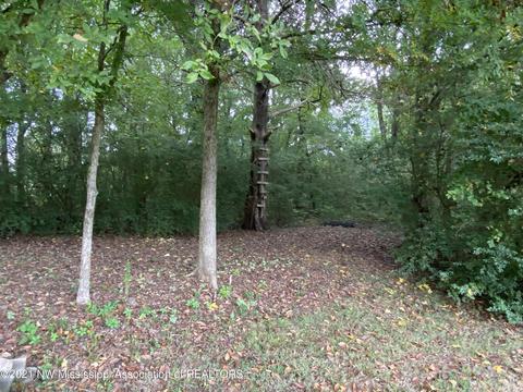 169 Moore Loop, Byhalia, MS 38611 photo 31