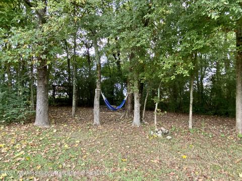 169 Moore Loop, Byhalia, MS 38611 photo 32