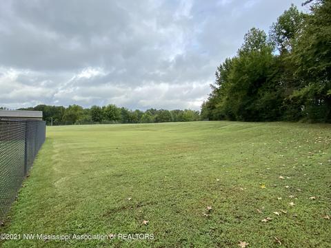 169 Moore Loop, Byhalia, MS 38611 photo 36