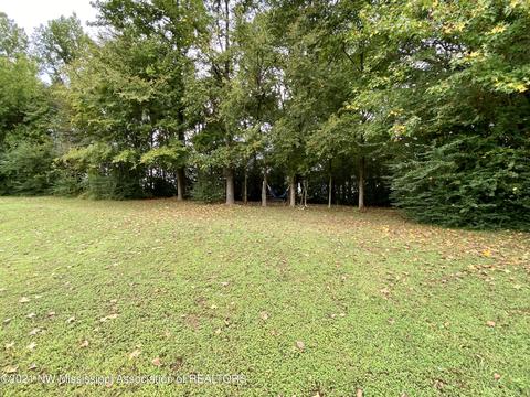 169 Moore Loop, Byhalia, MS 38611 photo 33