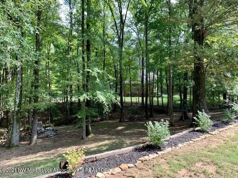 1260 Thousand Oaks Dr, Hernando, MS 38632 photo 32