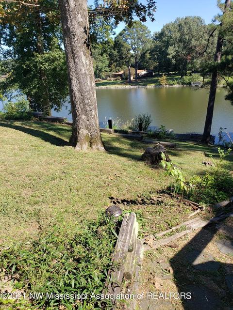 680 White Goose Cv, Hernando, MS 38632 photo 28