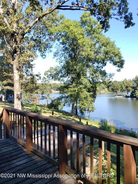 680 White Goose Cv, Hernando, MS 38632 photo 32
