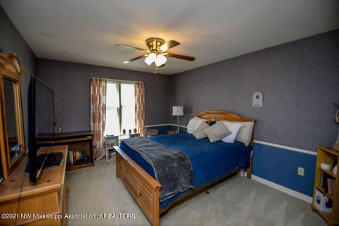 680 White Goose Cv, Hernando, MS 38632 photo 18