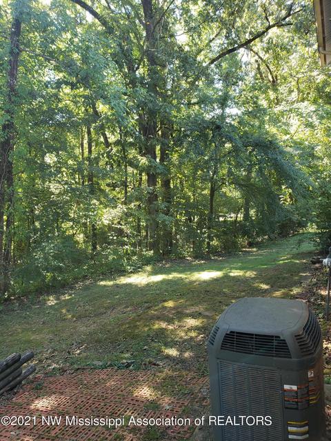 680 White Goose Cv, Hernando, MS 38632 photo 34