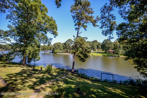 680 White Goose Cv, Hernando, MS 38632 photo 4