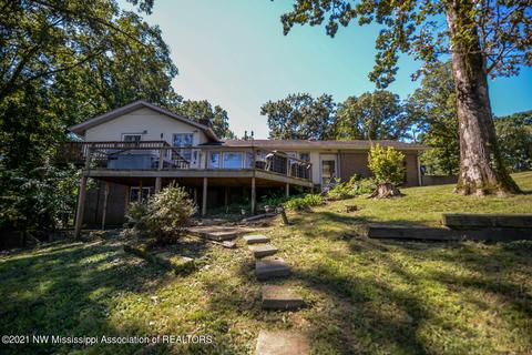 680 White Goose Cv, Hernando, MS 38632 photo 3