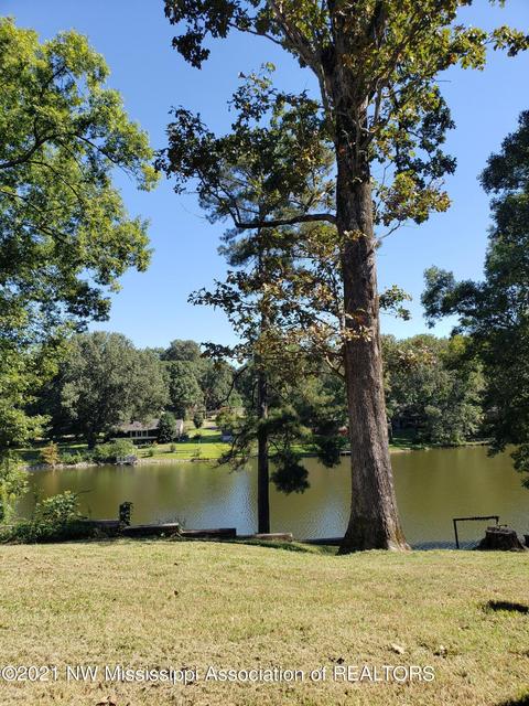 680 White Goose Cv, Hernando, MS 38632 photo 24