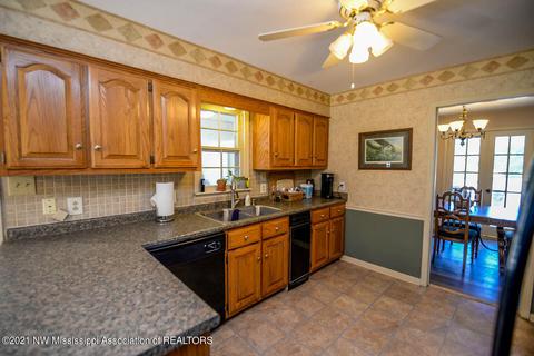 680 White Goose Cv, Hernando, MS 38632 photo 9