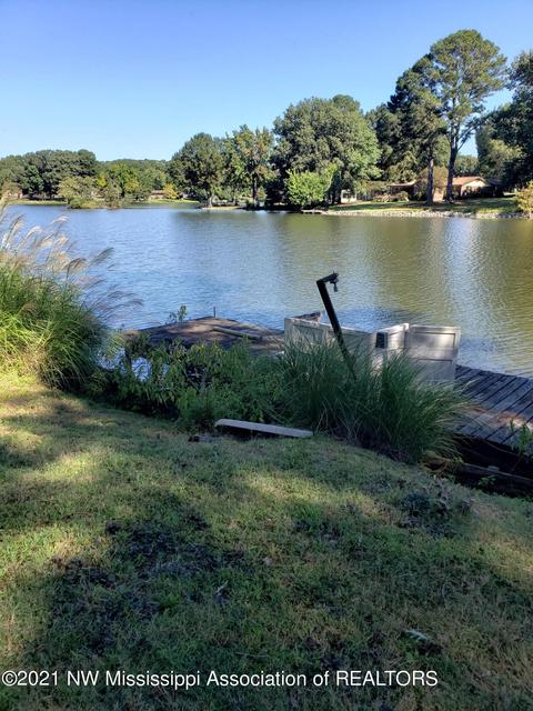 680 White Goose Cv, Hernando, MS 38632 photo 33
