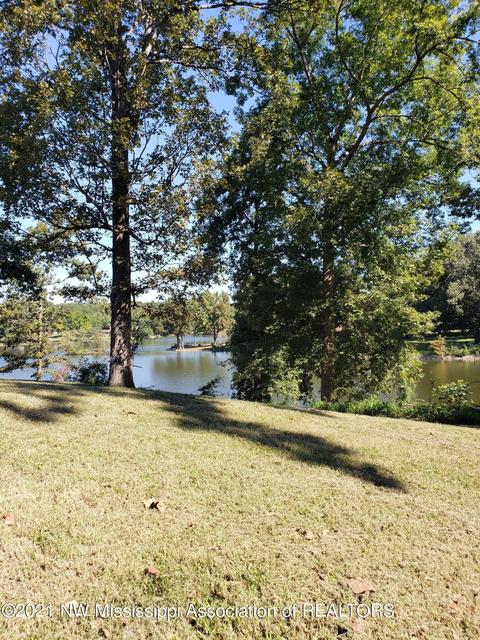 680 White Goose Cv, Hernando, MS 38632 photo 25