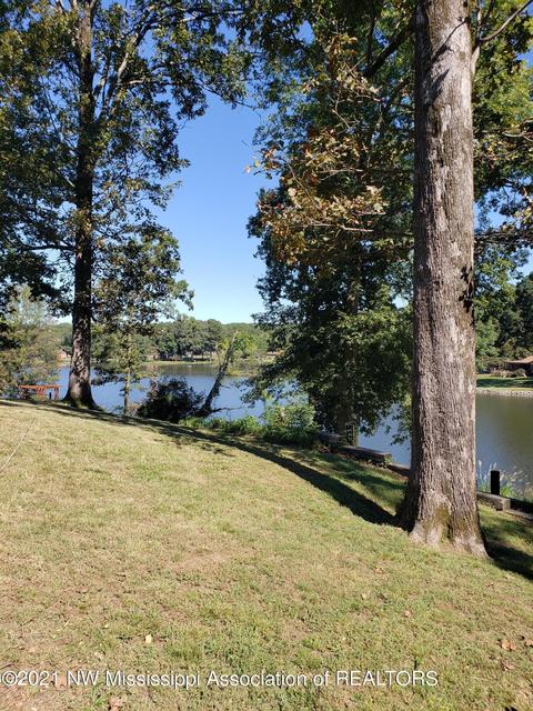 680 White Goose Cv, Hernando, MS 38632 photo 29