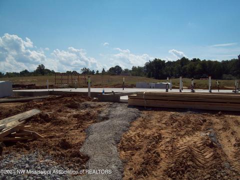 9625 Crape Myrtle Dr, Olive Branch, MS 38654 photo 1