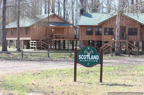 939 Trails End, Bentonia, MS 39040 photo 1