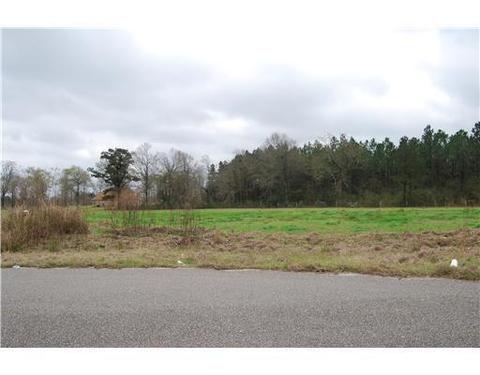 lot2 Oak Dr, Perkinston, MS 39573 photo 1