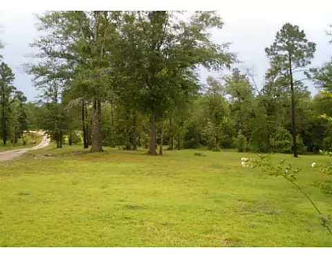17540 Jones Ln, Saucier, MS 39574 photo 16