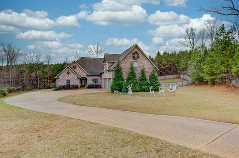 305 Whitney Cv, Brandon, MS 39042 photo 1