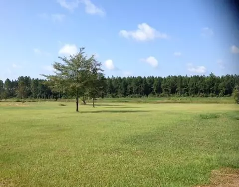 24825 Pine Rd, Lucedale, MS 39452 photo 24
