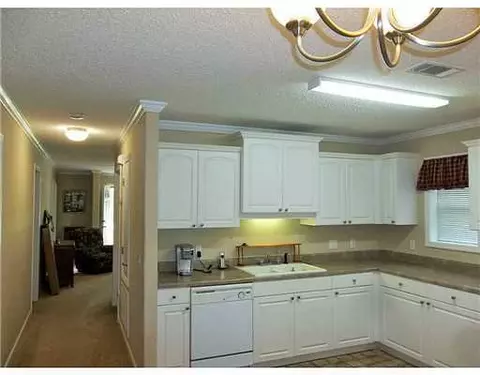 1147 Monkey Mizell Rd, Lucedale, MS 39452 photo 6
