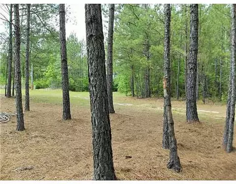 1147 Monkey Mizell Rd, Lucedale, MS 39452 photo 22