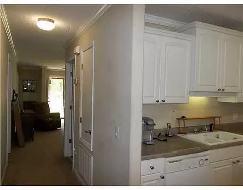 1147 Monkey Mizell Rd, Lucedale, MS 39452 photo 9