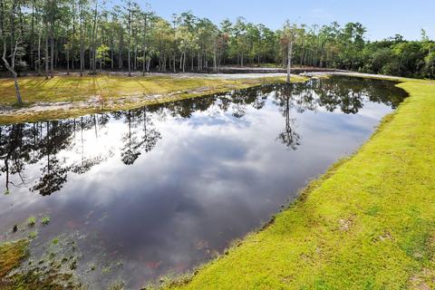 14975 Old Dixie Rd, Saucier, MS 39574 photo 25