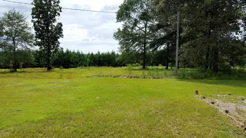 3173 Dickerson Sawmill Rd, Lucedale, MS 39452 photo 14