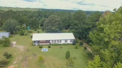 263 Desoto Rd, Mchenry, MS 39561 photo 1