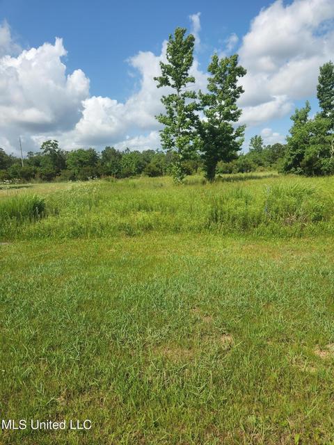 o atlantis drive, Bay Saint Louis, MS 39520