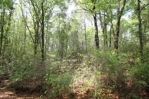 310 Mann Ln, Lucedale, MS 39452 photo 39