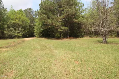 310 Mann Ln, Lucedale, MS 39452 photo 41