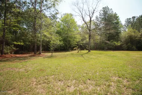 310 Mann Ln, Lucedale, MS 39452 photo 47
