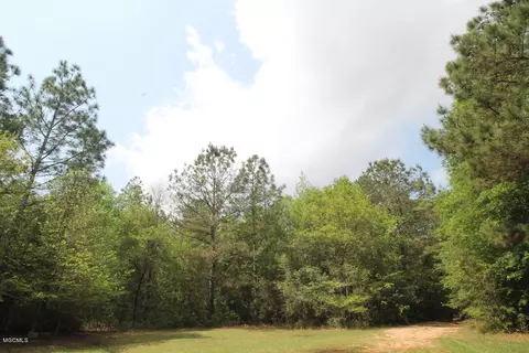 310 Mann Ln, Lucedale, MS 39452 photo 34