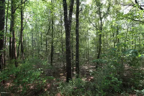 310 Mann Ln, Lucedale, MS 39452 photo 40