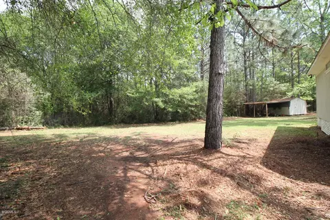 310 Mann Ln, Lucedale, MS 39452 photo 31