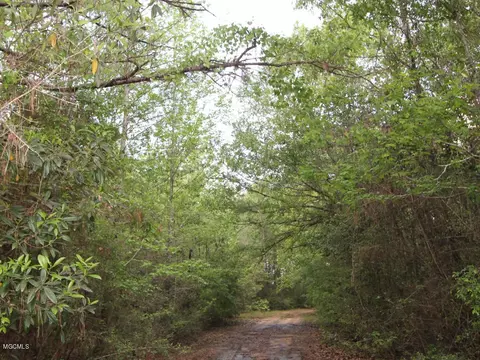 310 Mann Ln, Lucedale, MS 39452 photo 33