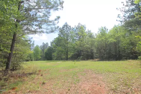 310 Mann Ln, Lucedale, MS 39452 photo 38