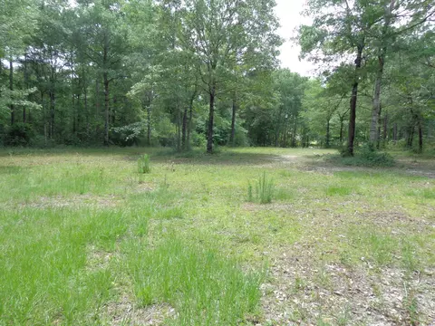 6900 Jim Ramsay Rd, Vancleave, MS 39565 photo 12