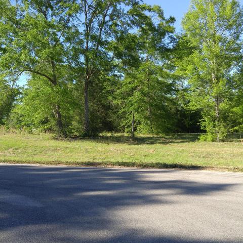 lot19 Winding Vale Dr, Poplarville, MS 39470