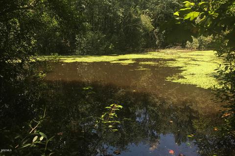 144 Jerry Fork Rd, Lucedale, MS 39452 photo 38