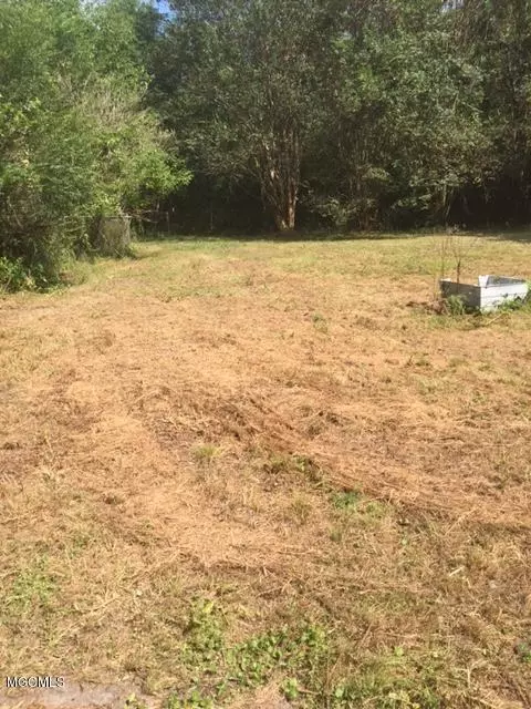 13729 Pine Ave, Ocean Springs, MS 39565 photo 11