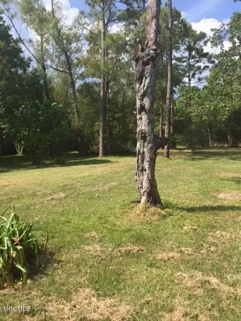 13729 Pine Ave, Ocean Springs, MS 39565 photo 10