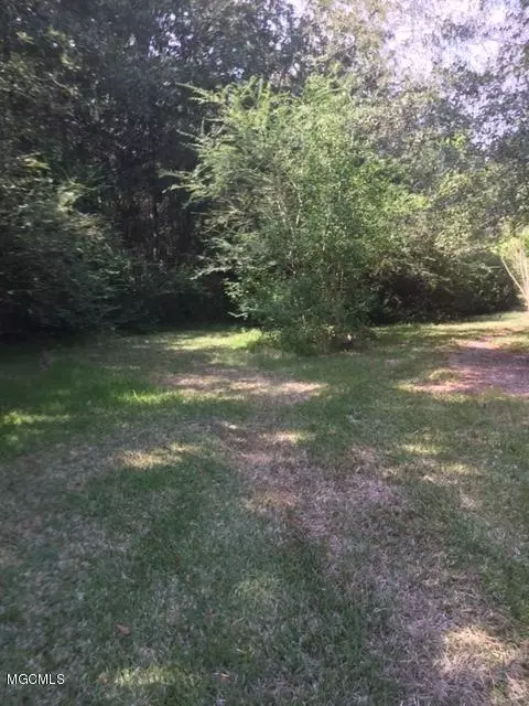 13729 Pine Ave, Ocean Springs, MS 39565 photo 6