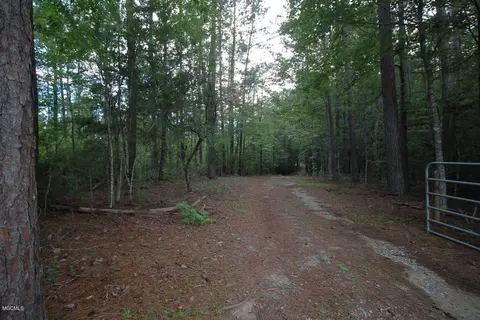 2255 Hwy 98, Lucedale, MS 39452 photo 46