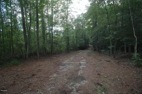 2255 Hwy 98, Lucedale, MS 39452 photo 45