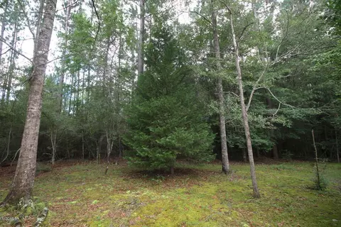 2255 Hwy 98, Lucedale, MS 39452 photo 38
