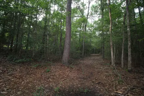 2255 Hwy 98, Lucedale, MS 39452 photo 44